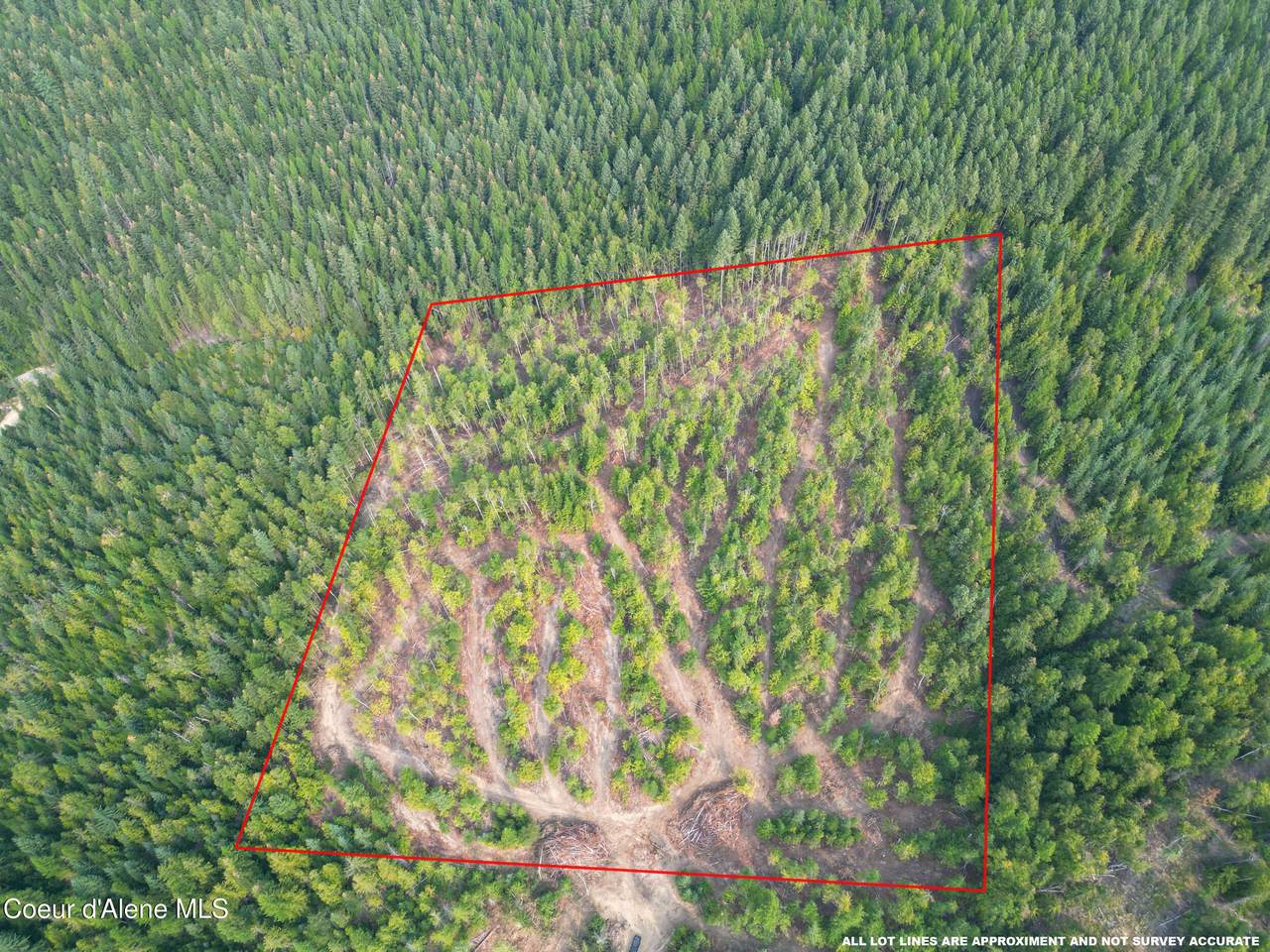 NKA Quartz Crk Rd - Photo 1