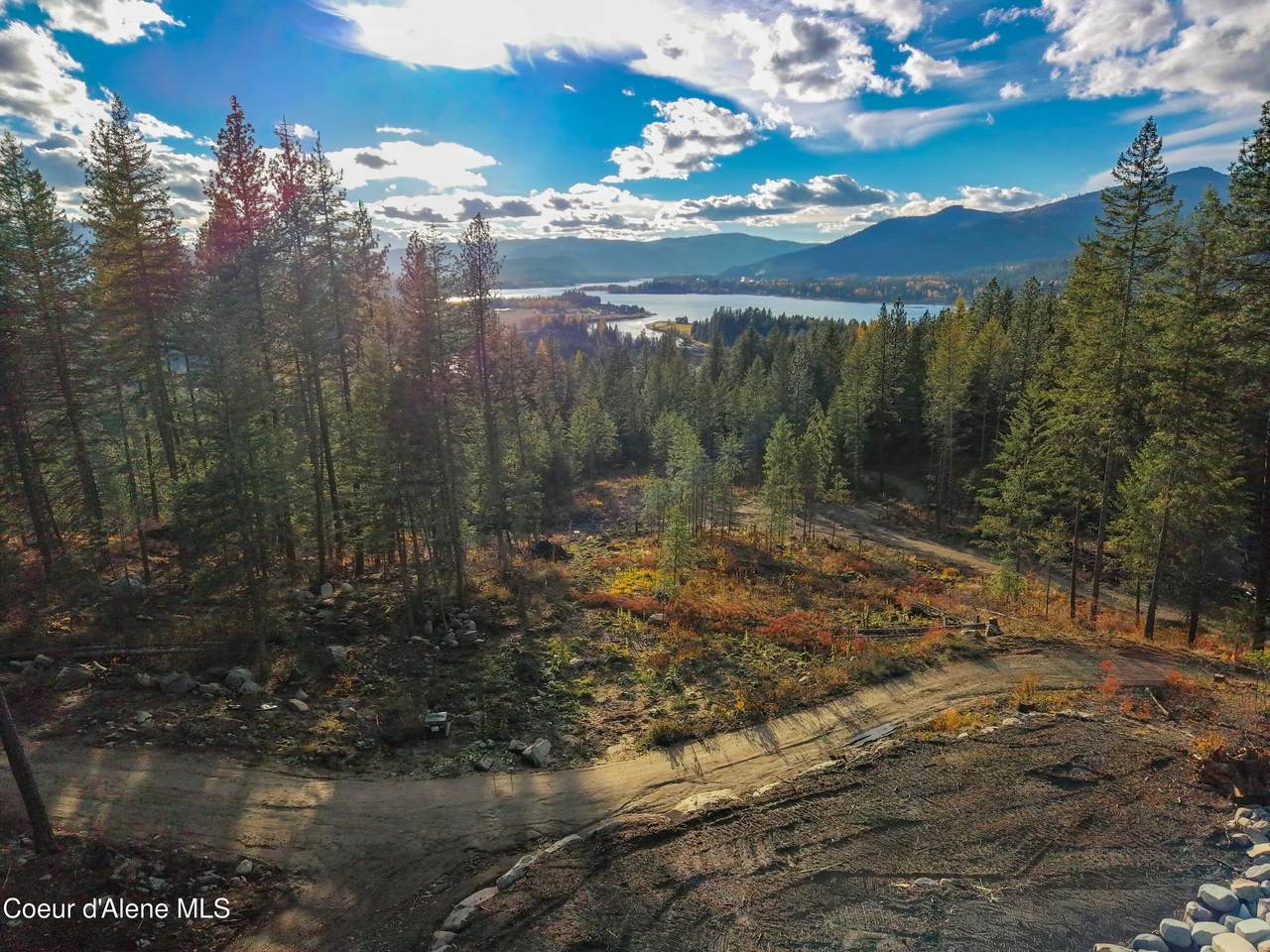 320 & NNA Towering Pines (11.25Ac) - Photo 1