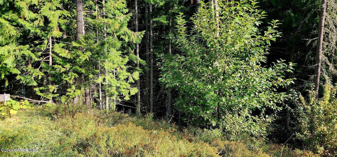 0 Alder Way - Photo 1