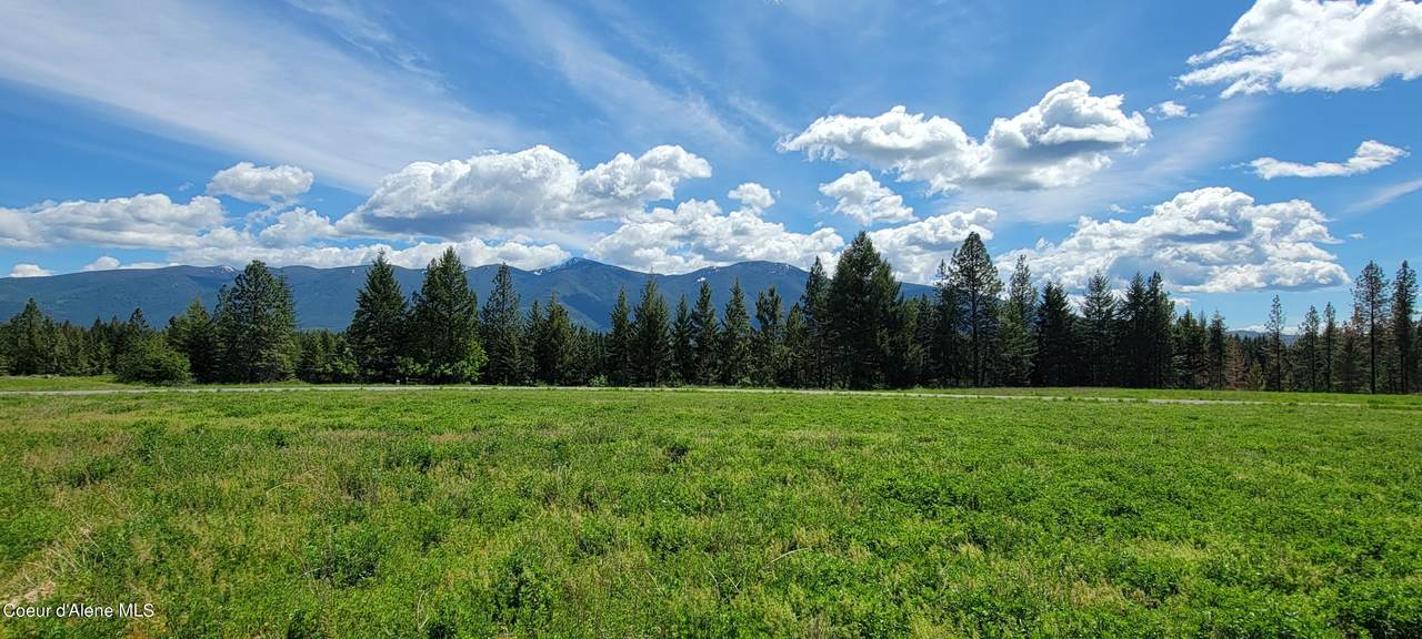 485 Stellar Jay Rd - Photo 1