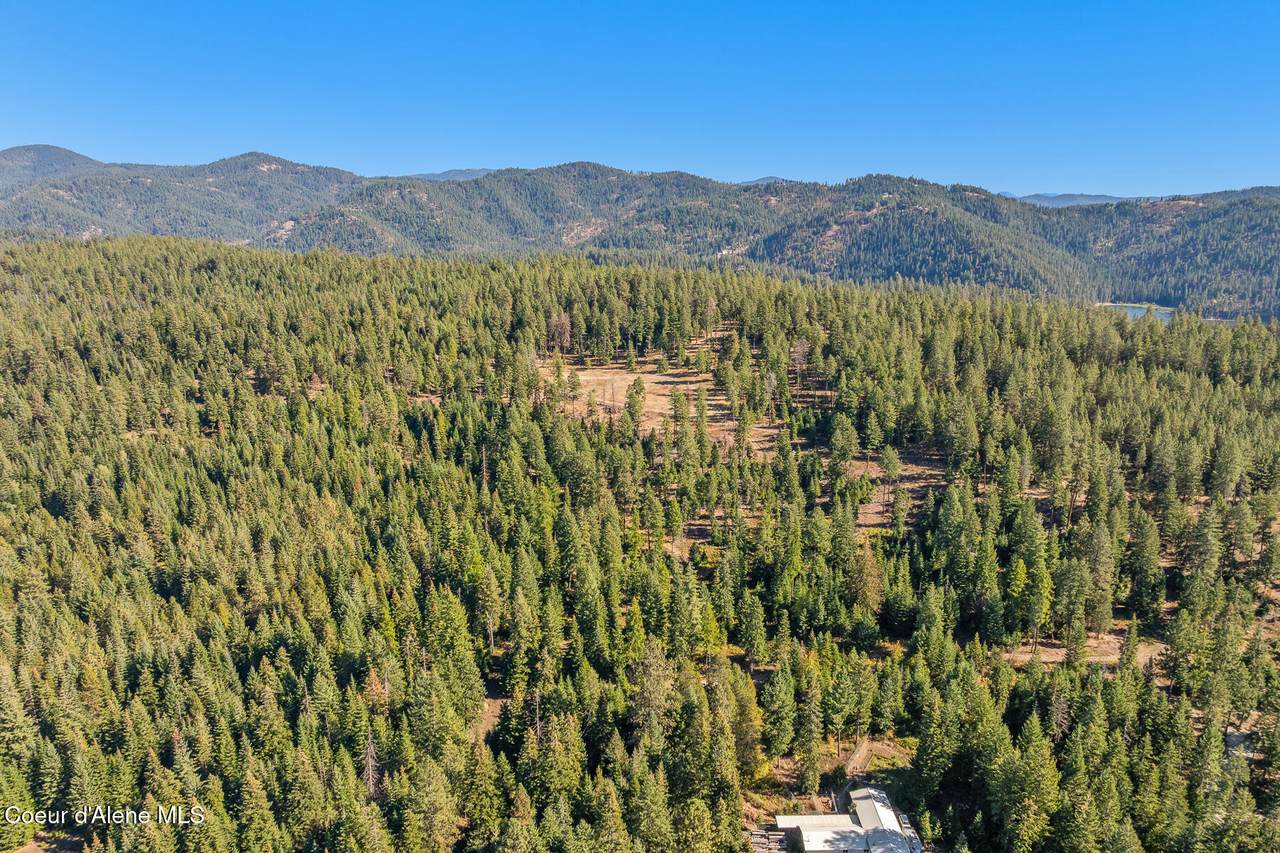NKA French Gulch Rd - Photo 1