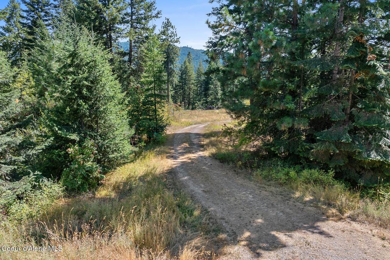 Lot 4 Fsr 439 - Photo 1