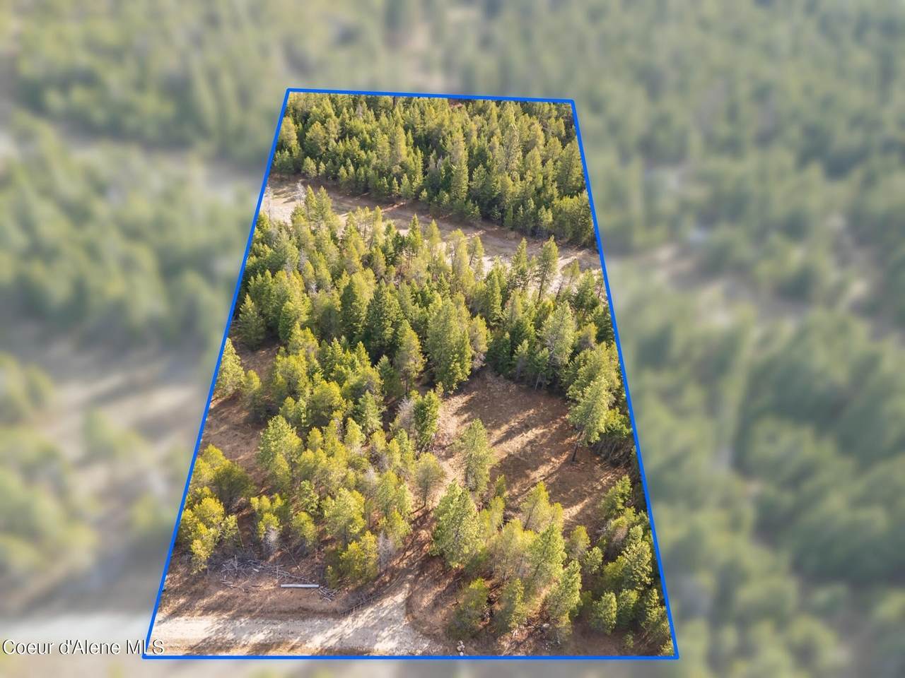  Nka Pine Meadow - Photo 1