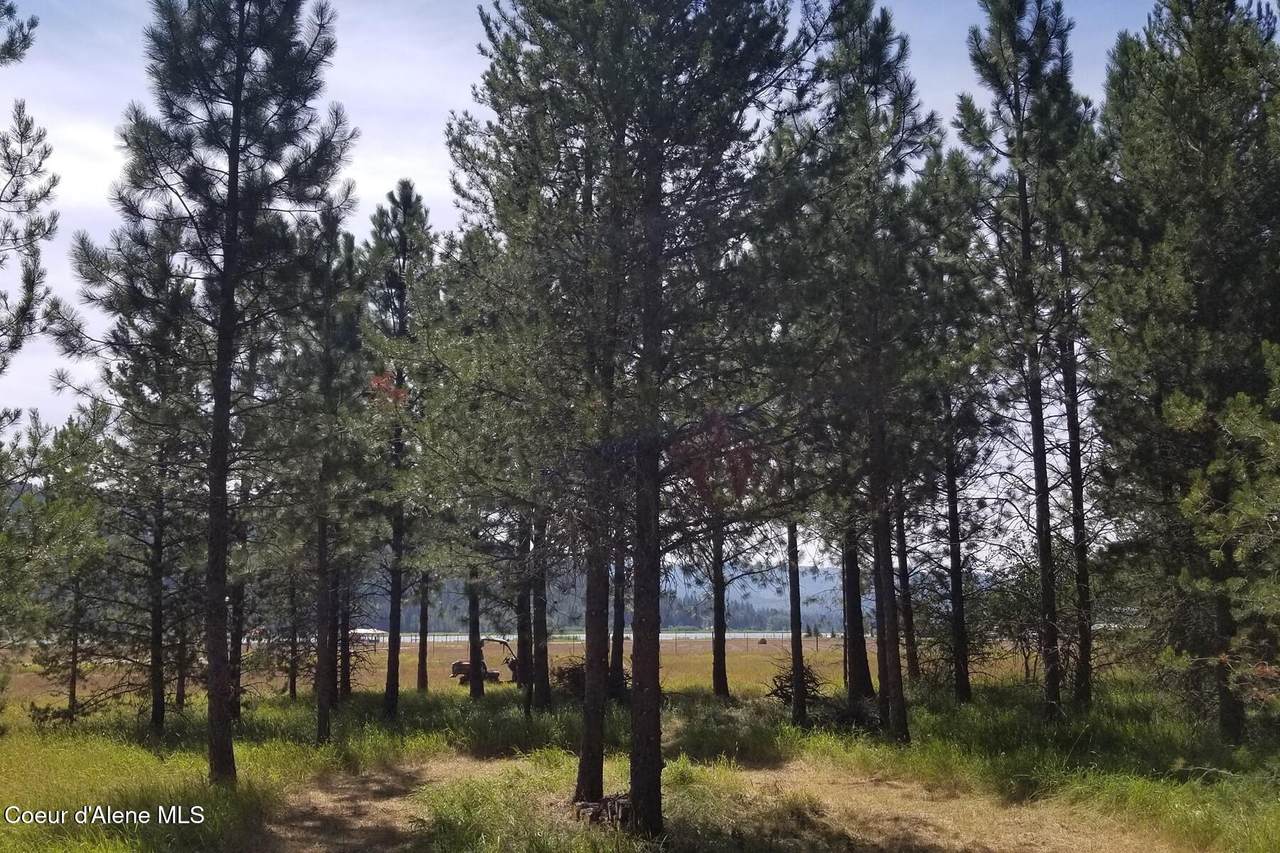 NNA Ponderesa Ranch Rd - Photo 1