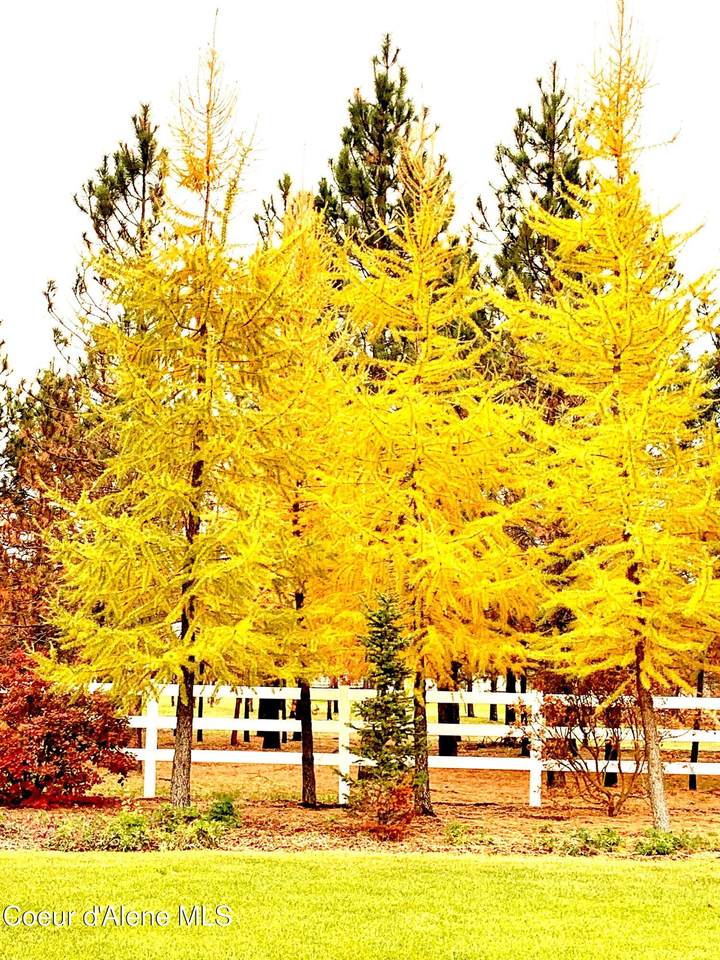 https://bt-photos.global.ssl.fastly.net/coeurdalene/1280_boomver_1_26-2325-2.jpg