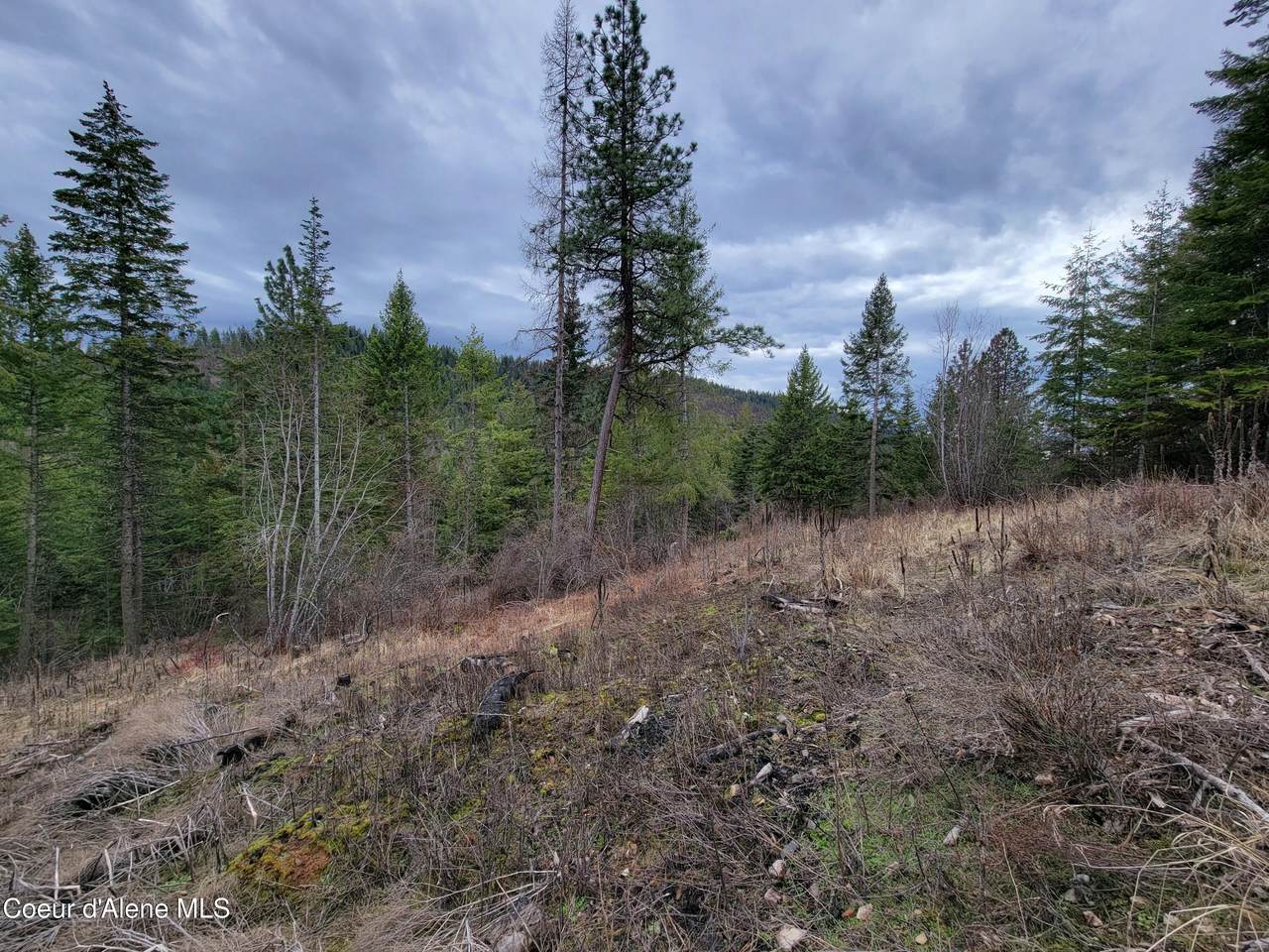 https://bt-photos.global.ssl.fastly.net/coeurdalene/1280_boomver_1_26-2476-2.jpg