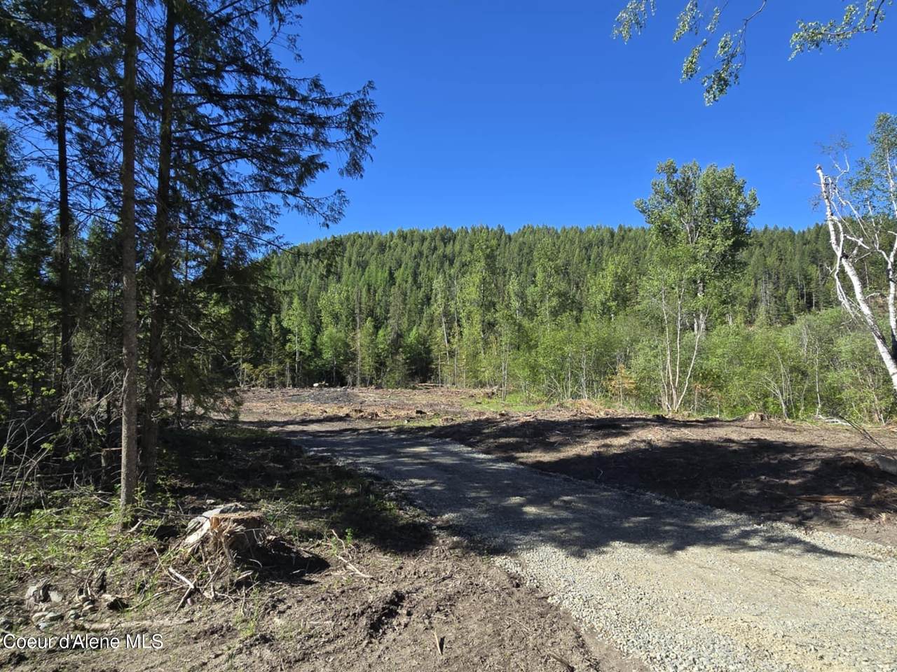  Nna Old Highway Two Loop - Photo 1