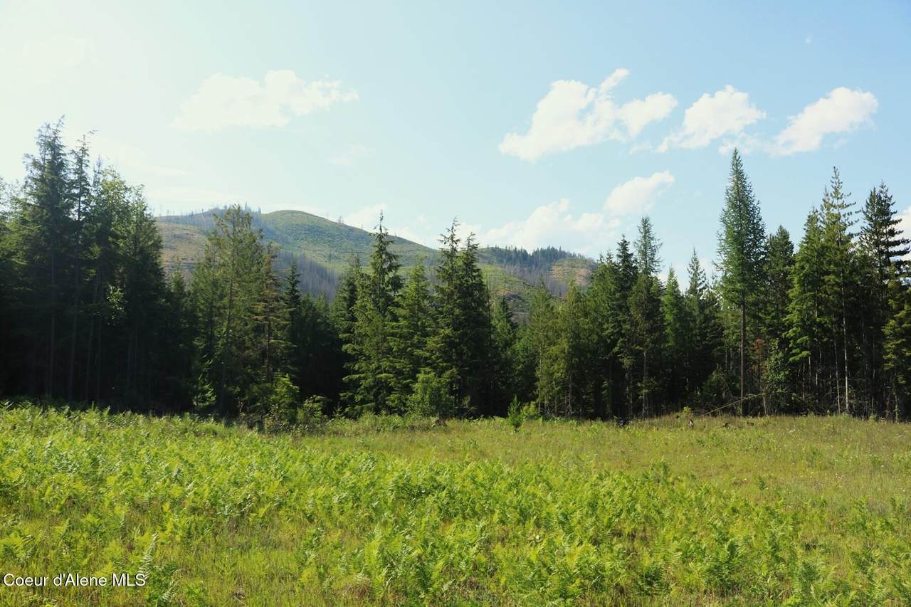 NKA Slippery Slope Trail - Photo 1