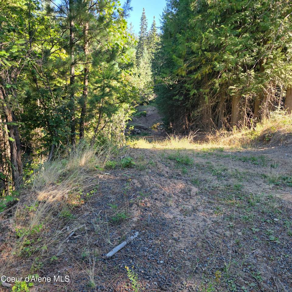 NKA Hells Gulch - Photo 1