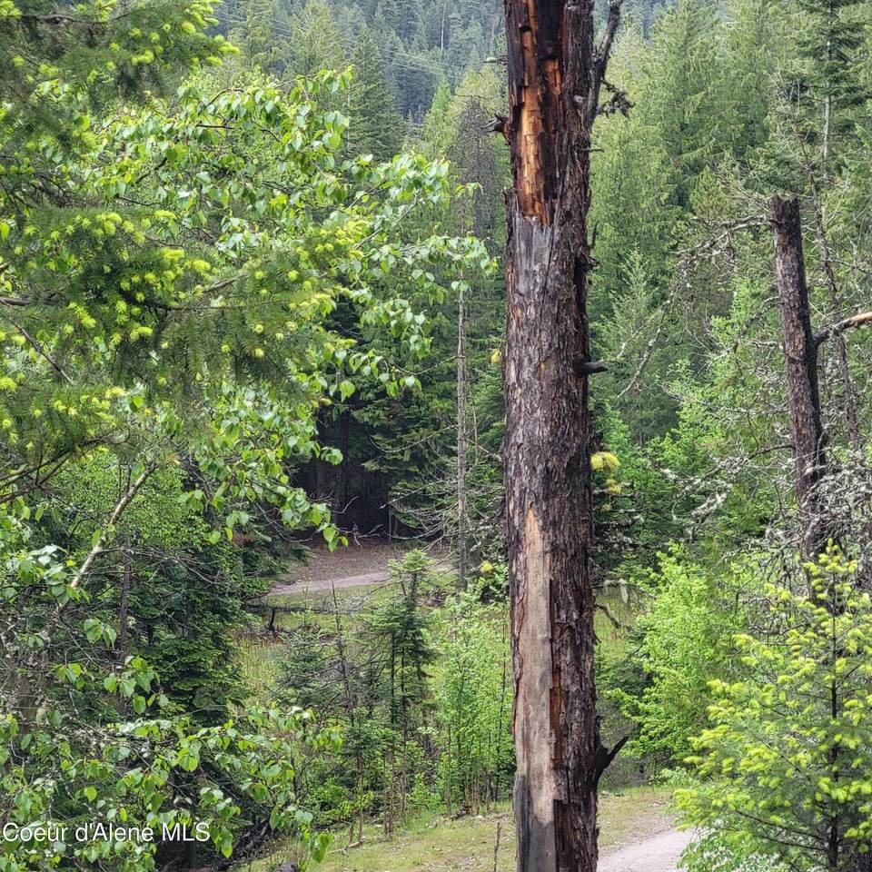 https://bt-photos.global.ssl.fastly.net/coeurdalene/1280_boomver_1_26-3211-2.jpg