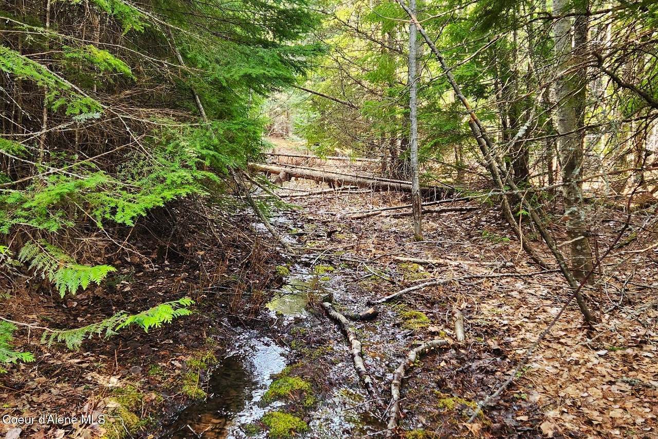 718 Slippery Slope Lot 2 - Photo 1