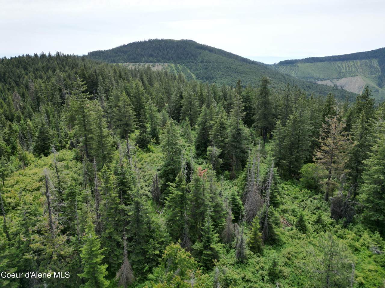 NKA Initial Peak Rd - Photo 1