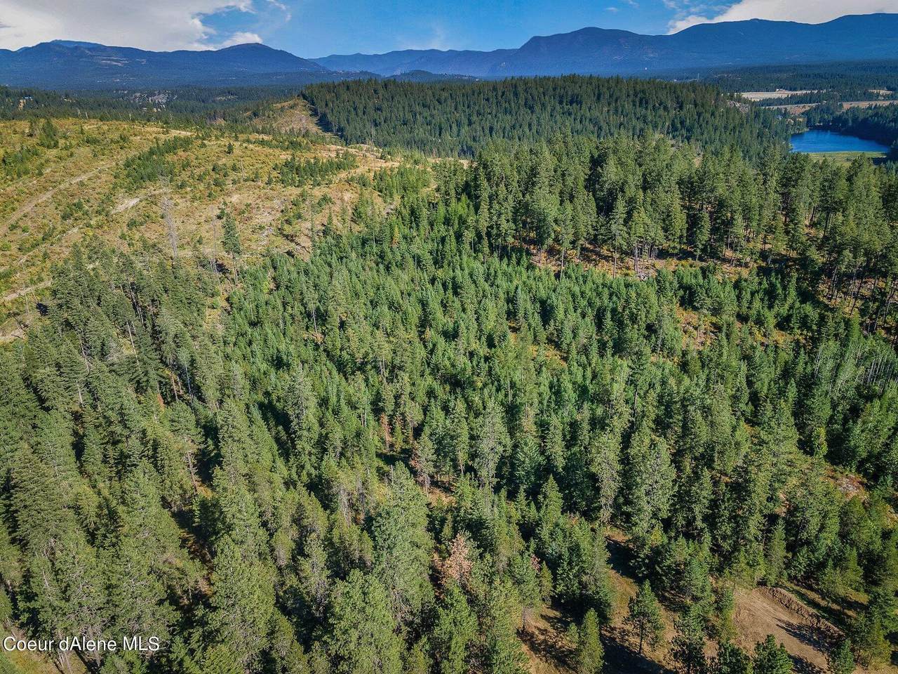 L1 Smokewood Dr - Photo 1