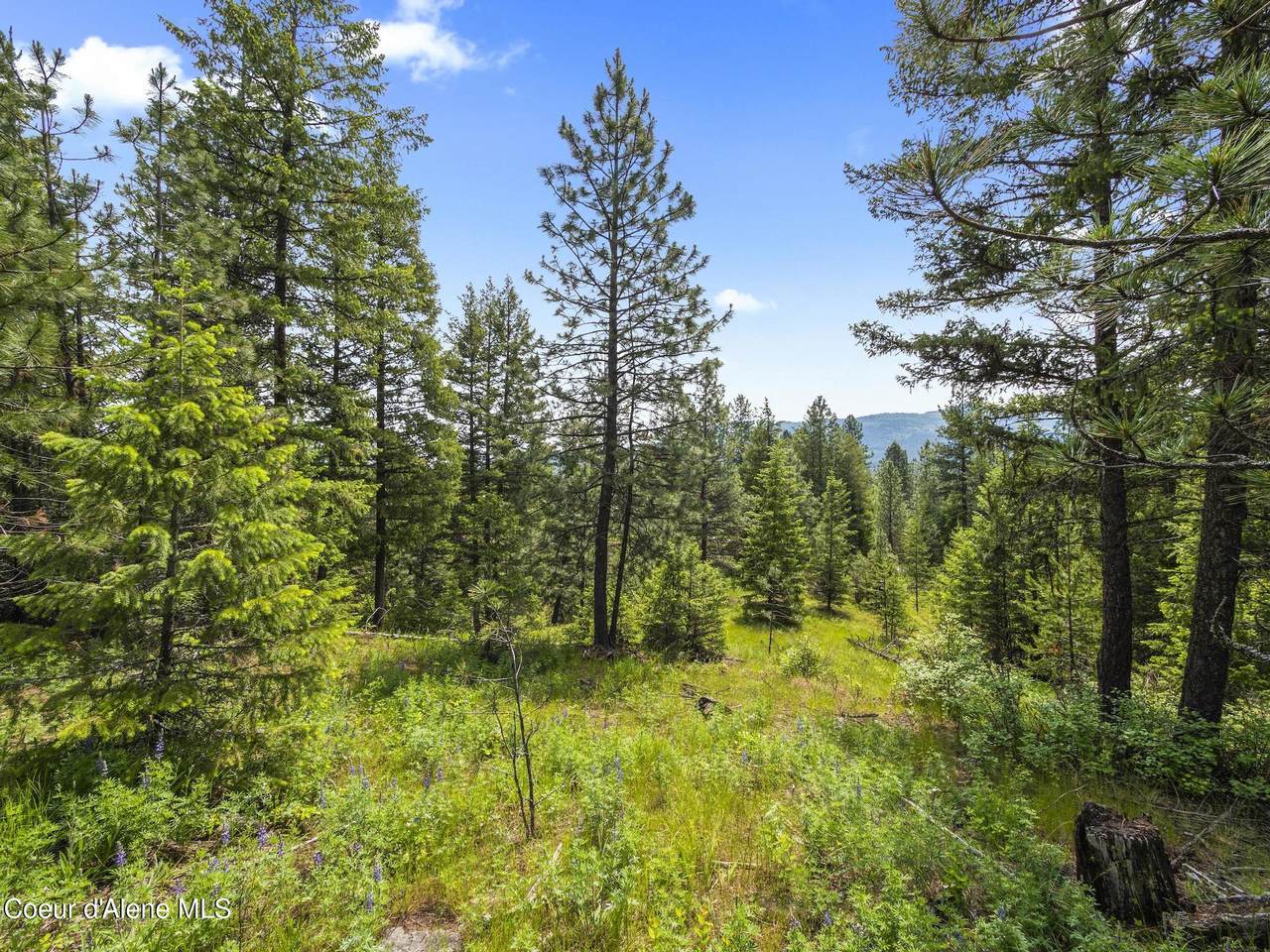 685 Blanchard Elk Rd - Photo 1