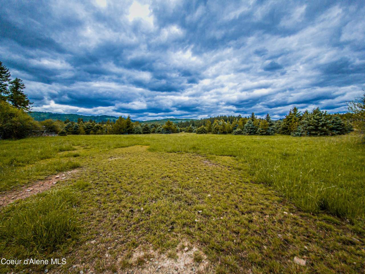 NNA Coon Creek Road - Photo 1
