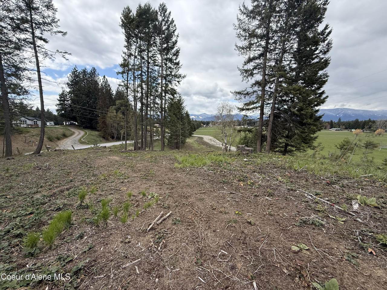 NKA Blue Sky Rd - Photo 1