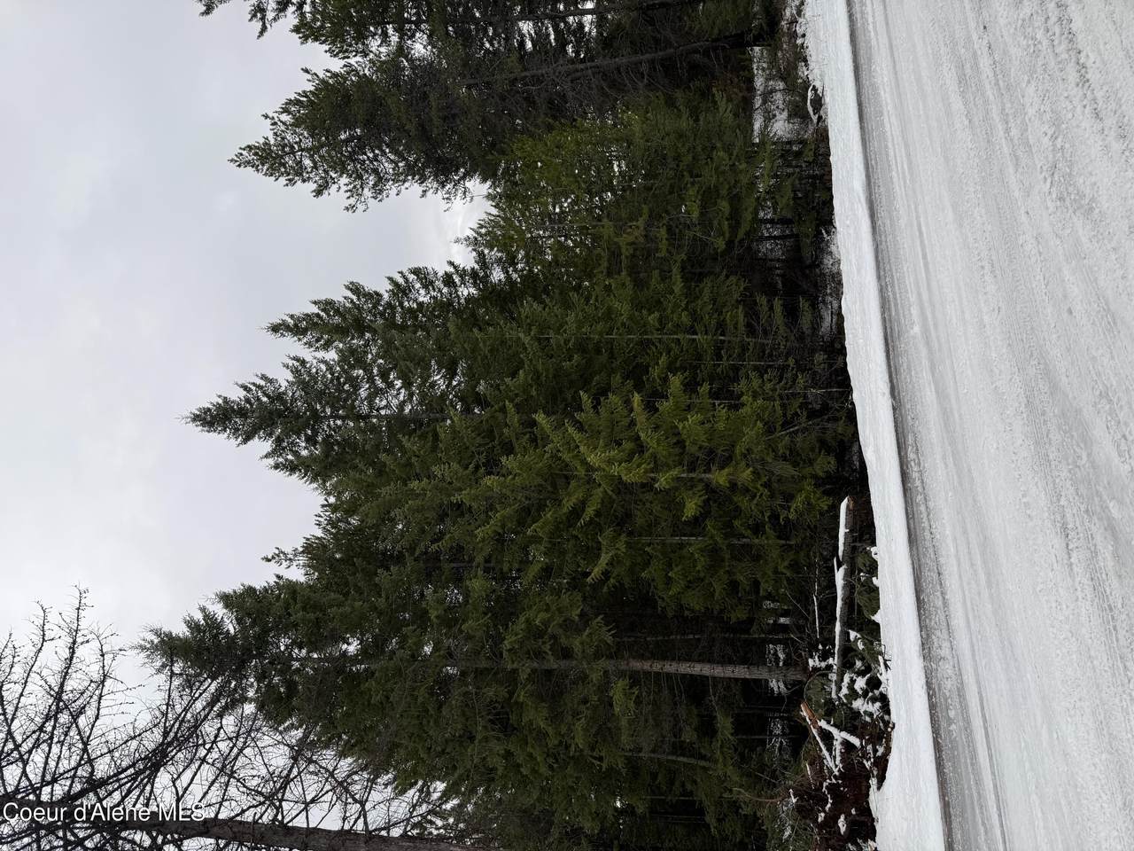 NKA Van Buren St. - Photo 1