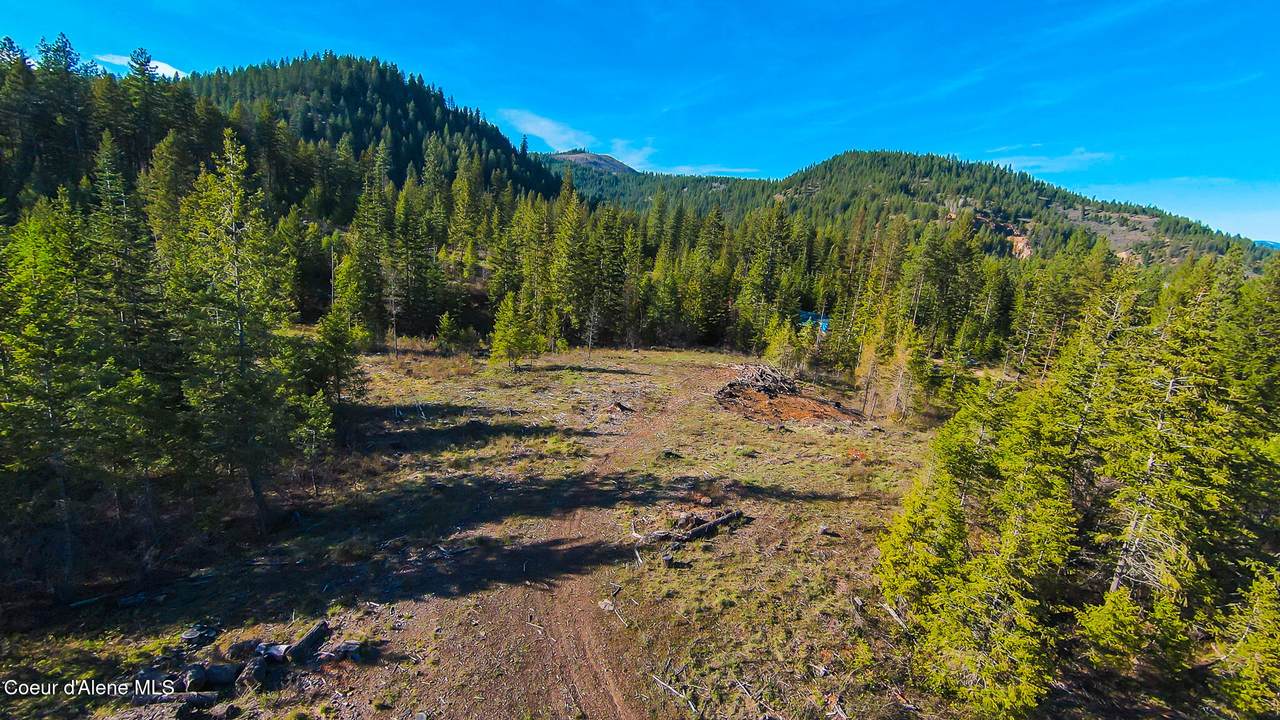 NNA Lot 3 Kacy Bear Ln - Photo 1