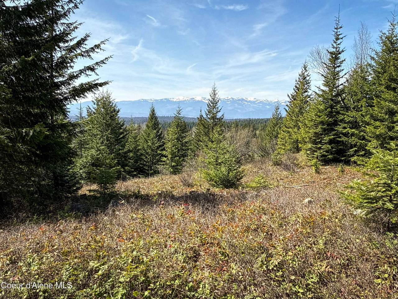 NKA Raven Ridge - Photo 1