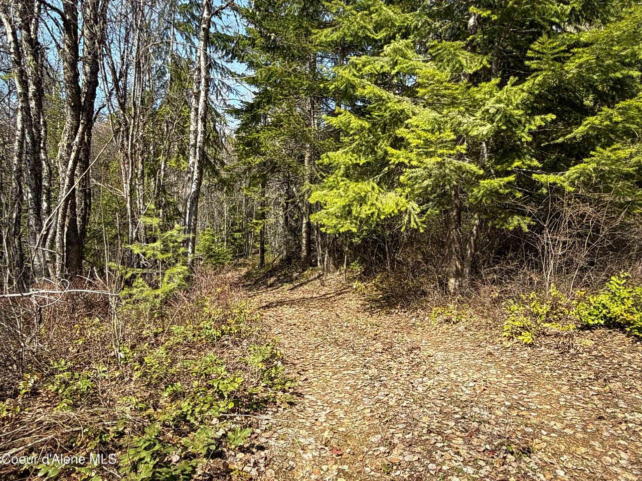https://bt-photos.global.ssl.fastly.net/coeurdalene/1280_boomver_1_26-3847-2.jpg