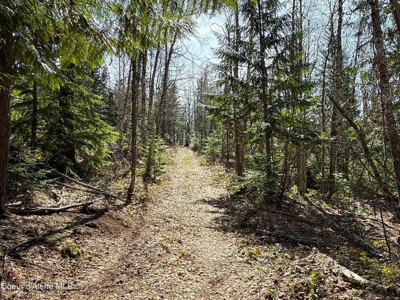 https://bt-photos.global.ssl.fastly.net/coeurdalene/1280_boomver_1_26-3847-2.jpg