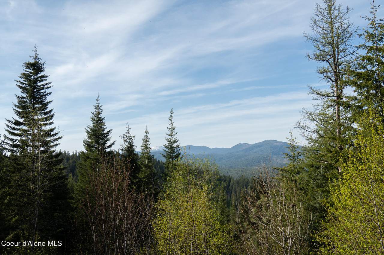 https://bt-photos.global.ssl.fastly.net/coeurdalene/1280_boomver_1_26-3963-2.jpg