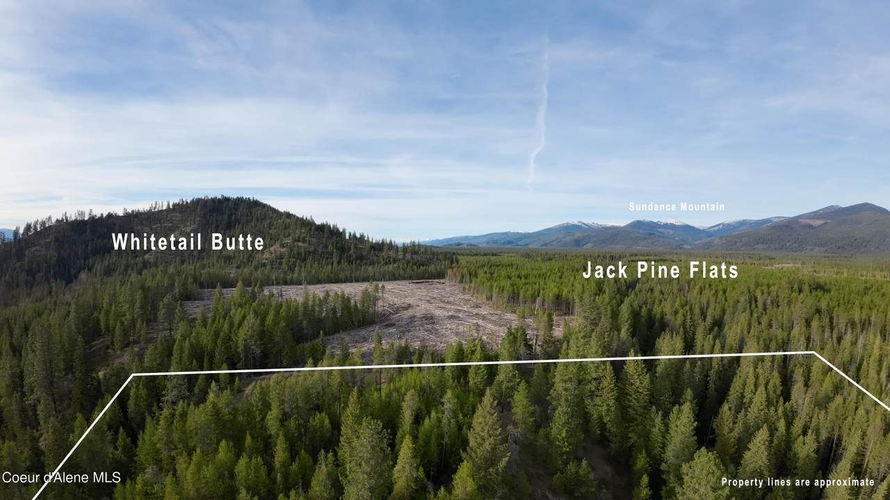 NNA Mud Gulch - Photo 1