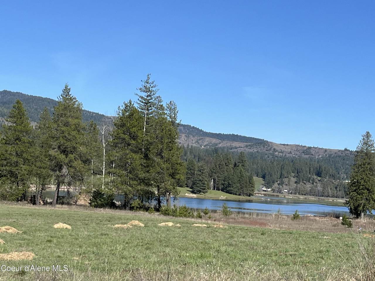 11913 River Rd - Photo 1