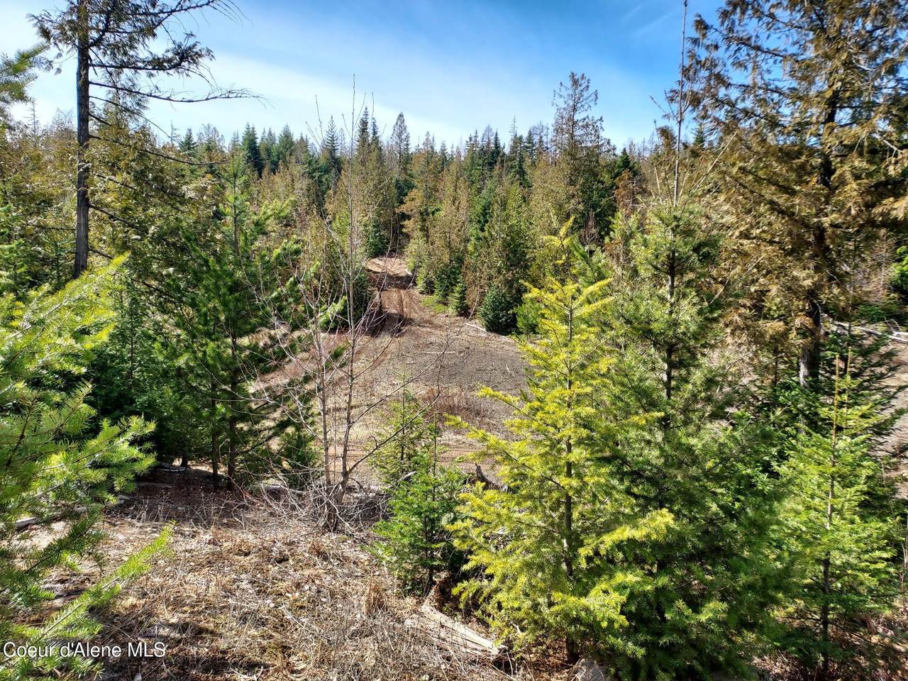2244 Whittum Rd - Photo 1