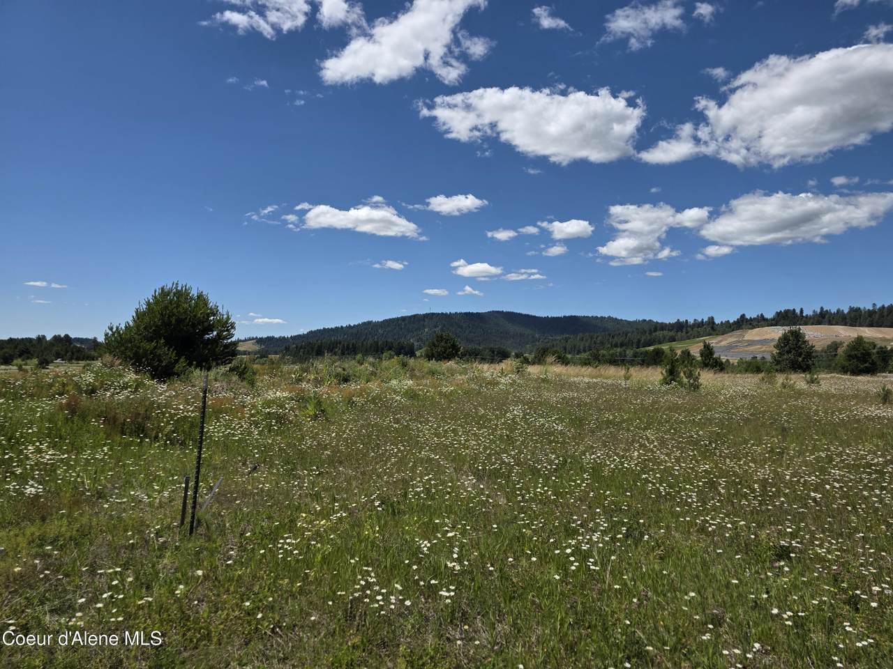 11 Bolen St - Photo 1