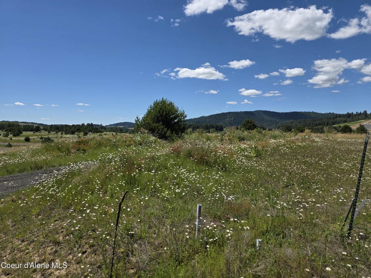 https://bt-photos.global.ssl.fastly.net/coeurdalene/1280_boomver_1_26-4282-2.jpg