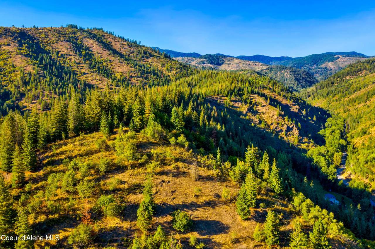 51833 Silver Valley Rd - Photo 1
