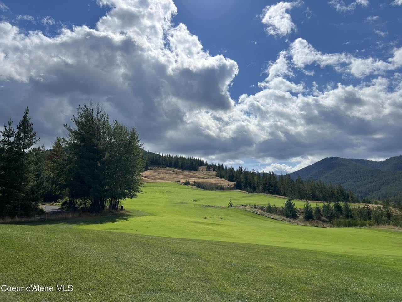 278 Diamond Hitch Dr - Photo 1