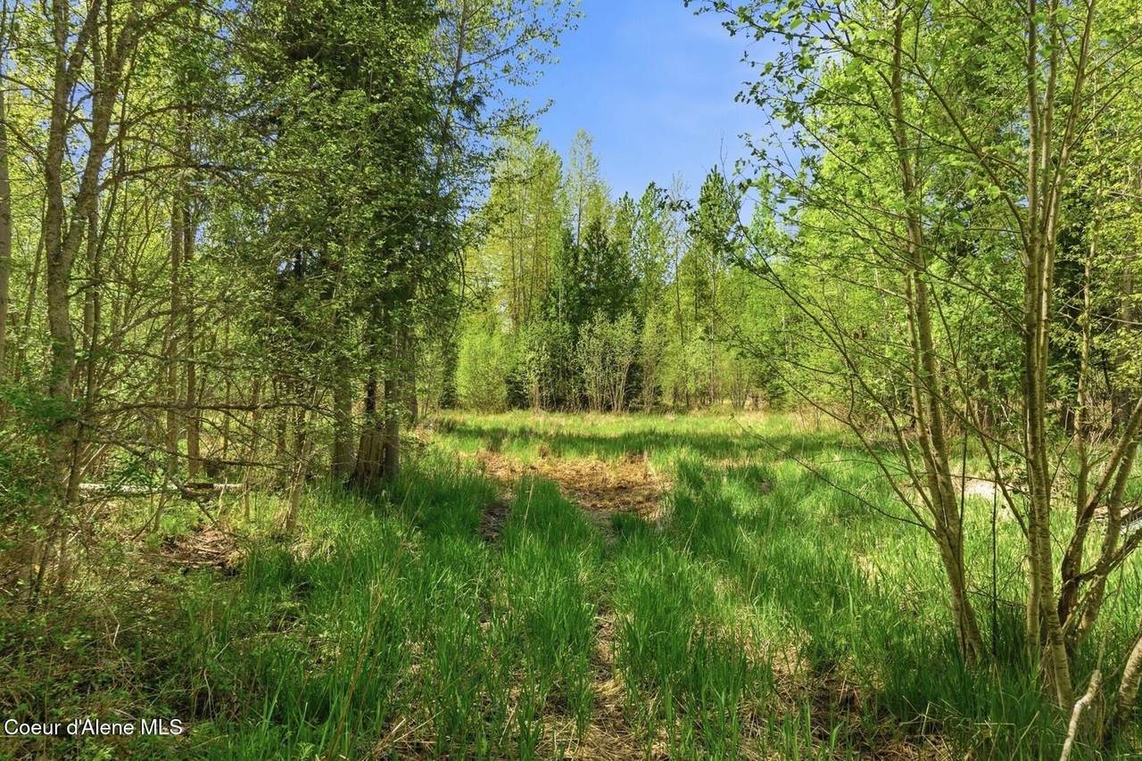 https://bt-photos.global.ssl.fastly.net/coeurdalene/1280_boomver_1_26-4521-2.jpg