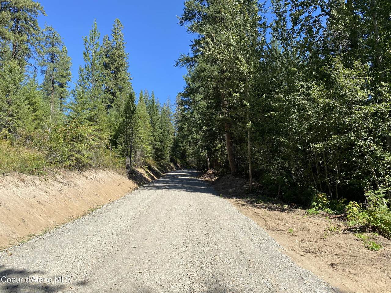 NNA Stone Rd Lot 2 (20.0 Acres) - Photo 1