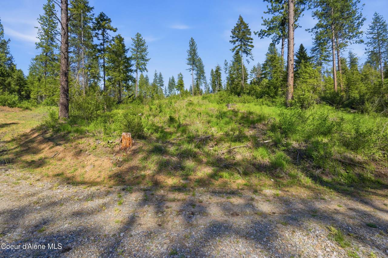 NNA Stone Rd Lot 5 (20.0 Acres) - Photo 1