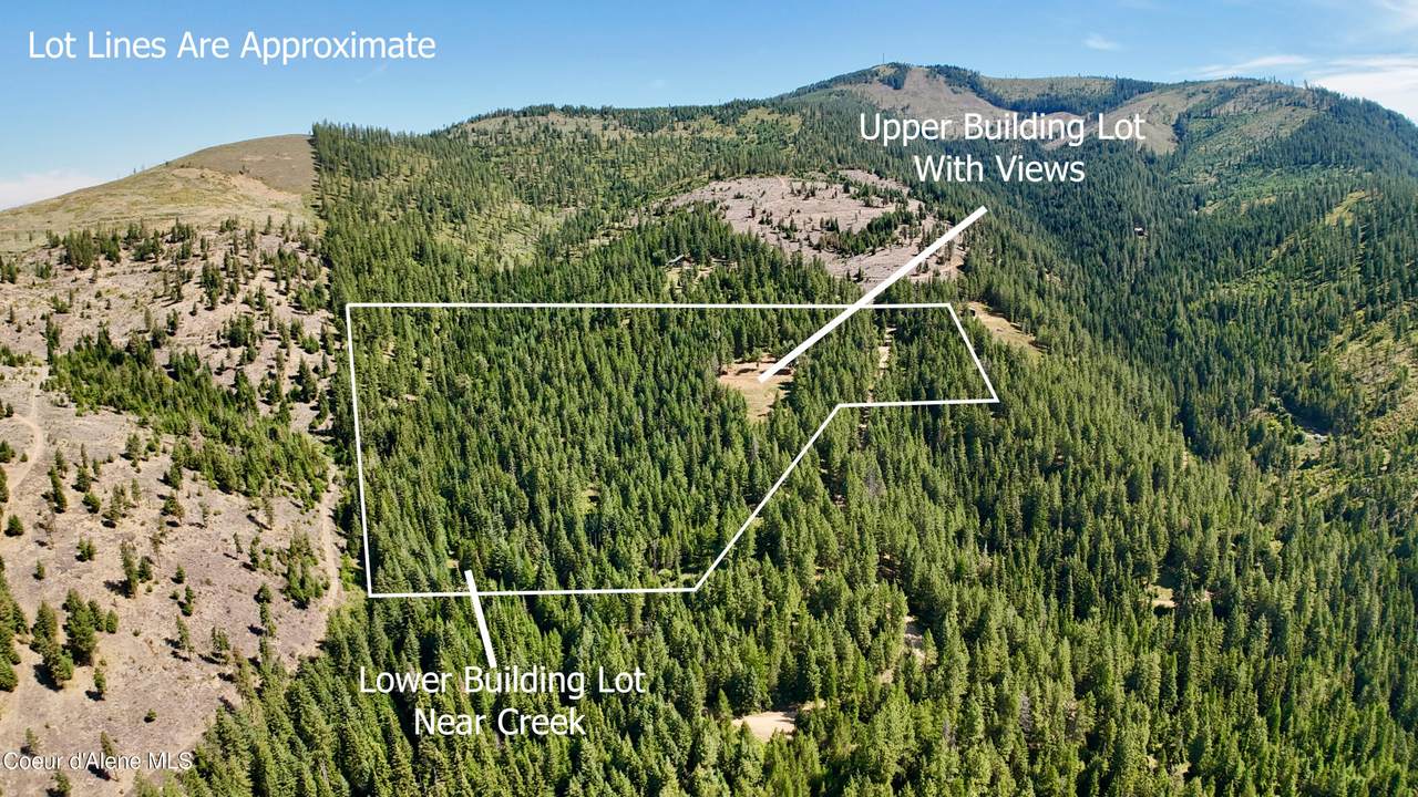 1710 Tower Mountain Rd - Photo 1