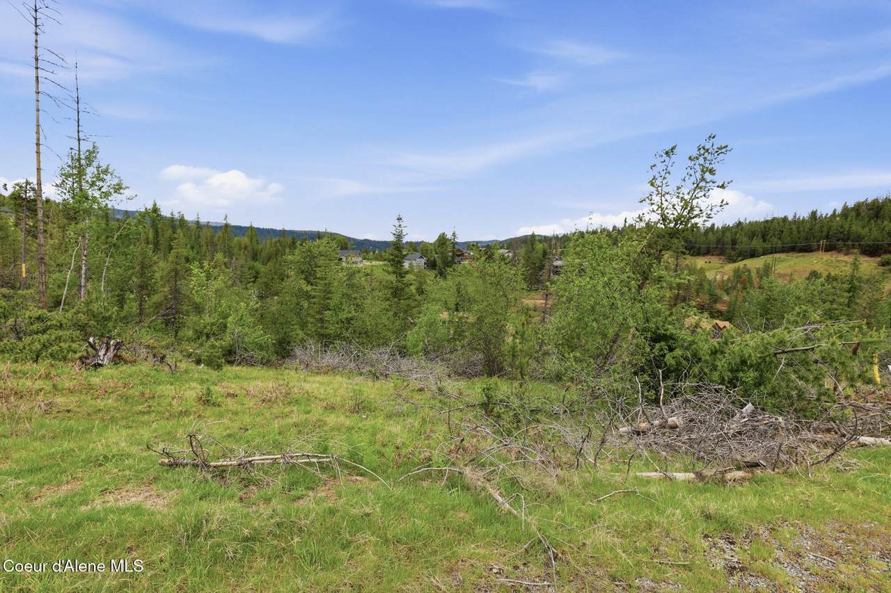 120 Blazing Saddle Ct - Photo 1