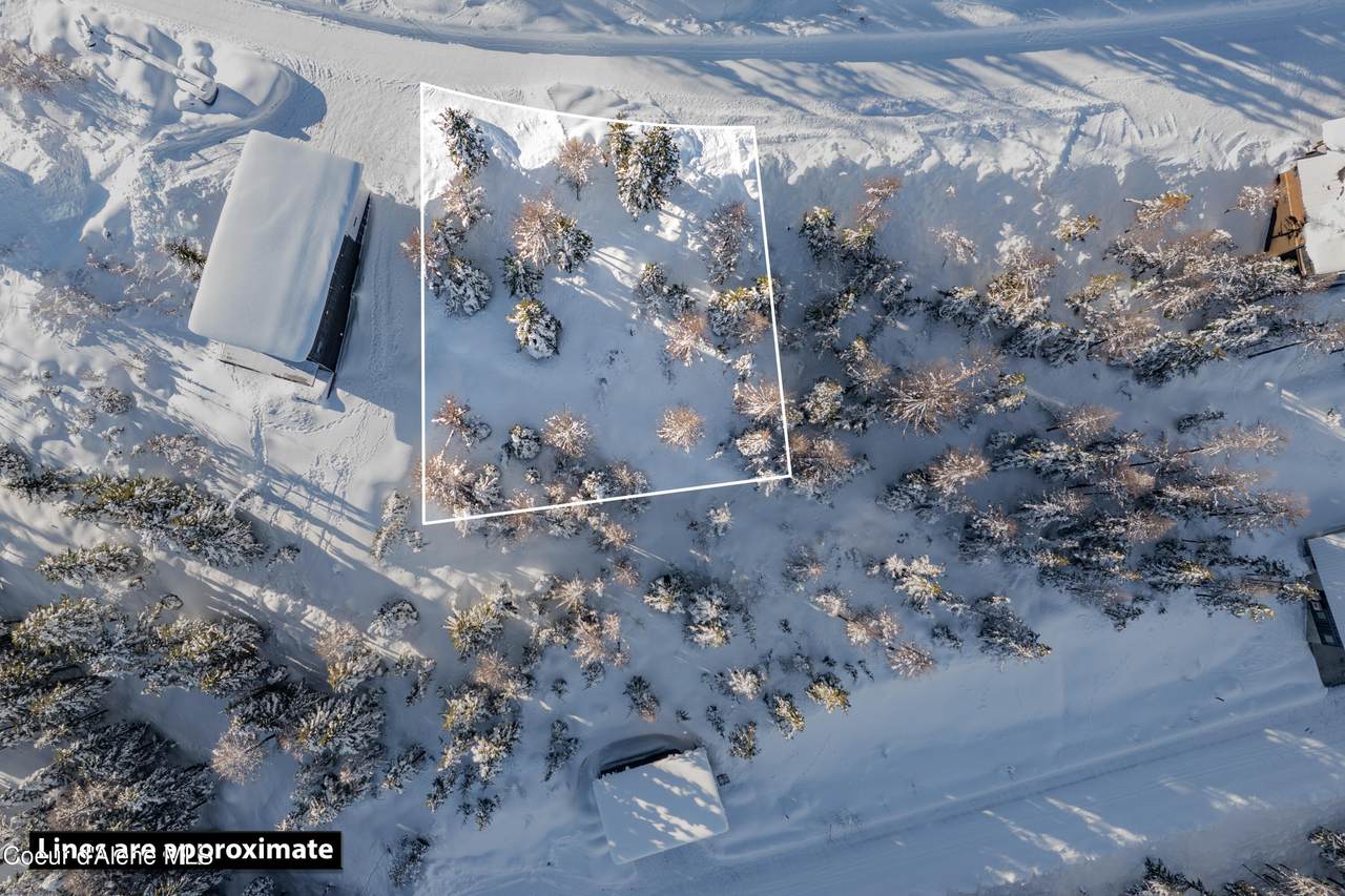 375 Blizzard Dr - Photo 1