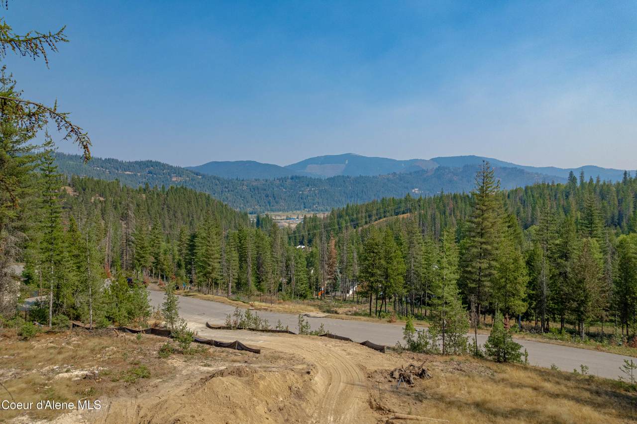 107 Blazing Saddle Ct - Photo 1