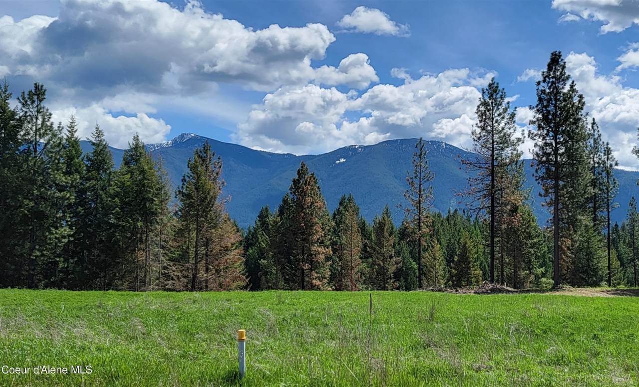 492 Stellar Jay Rd - Photo 1