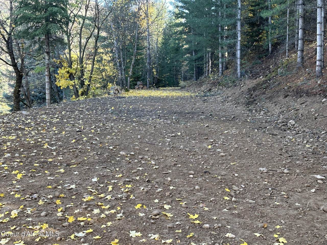 NKA Presley Ave - Photo 1