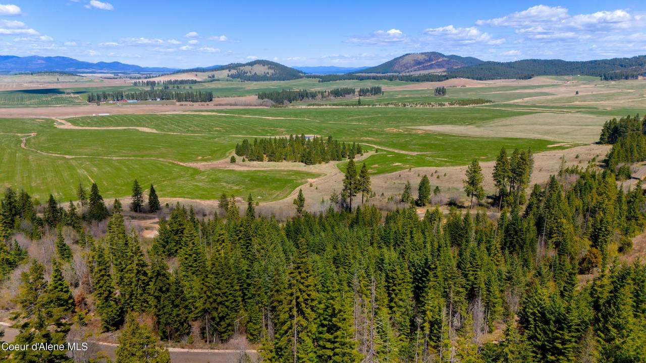 Lot 11 Lone Moose Dr - Photo 1