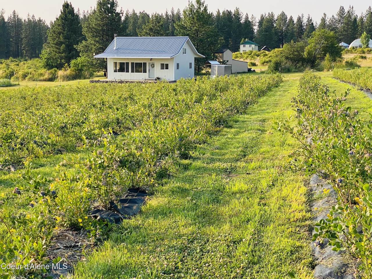 110 Abiding Way - Photo 1