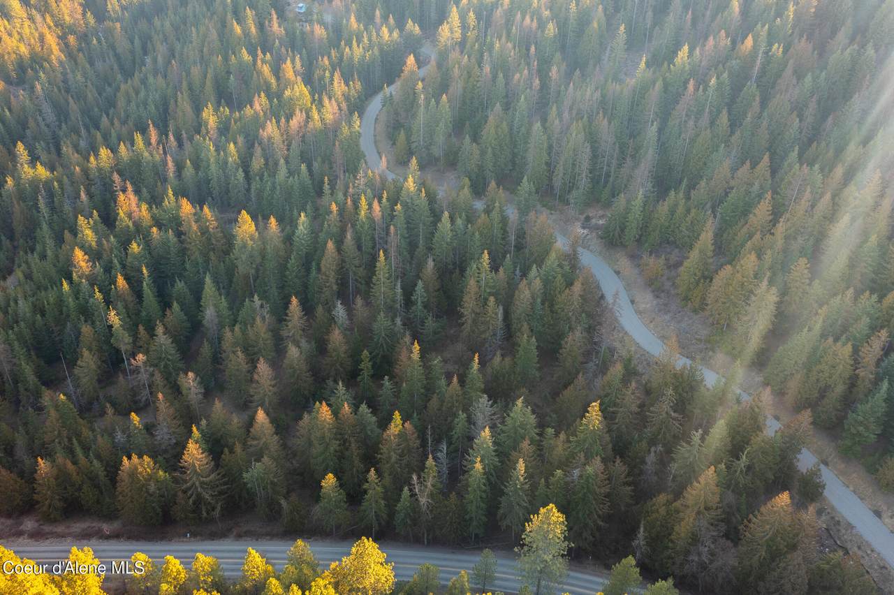 NNA Sophie Hills Lot 2 - Photo 1