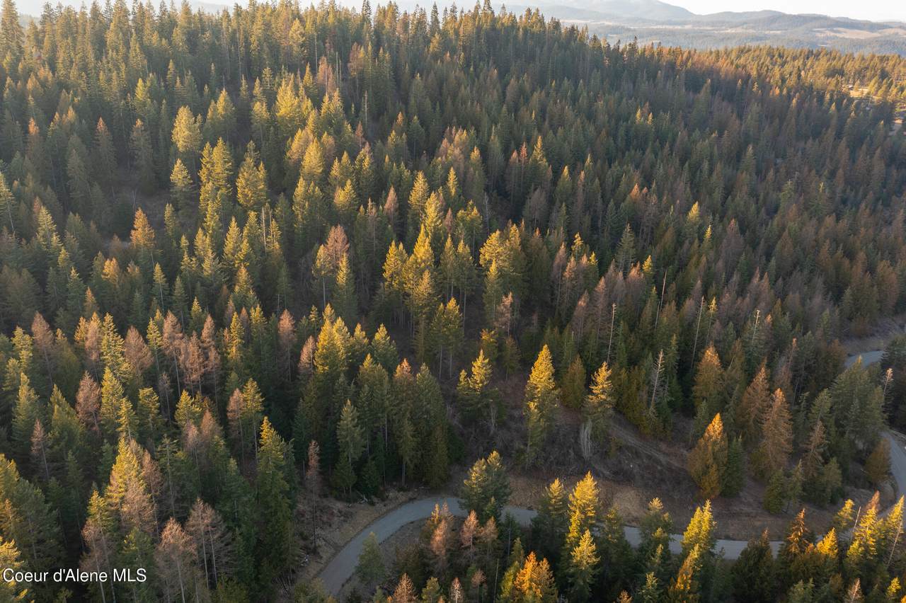 NNA Sophie Hills Lot 3 - Photo 1