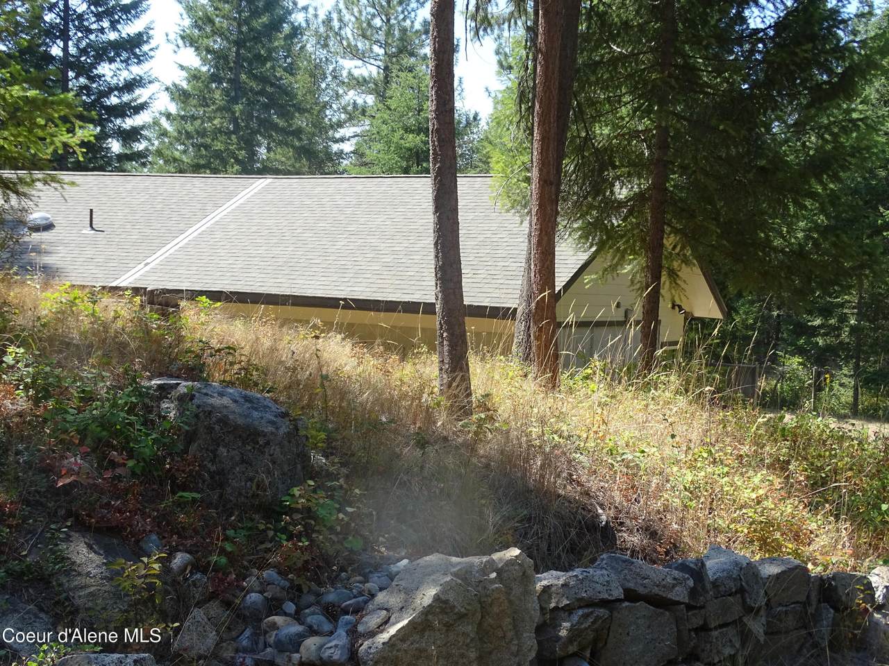 239 Bear Track Ln - Photo 1
