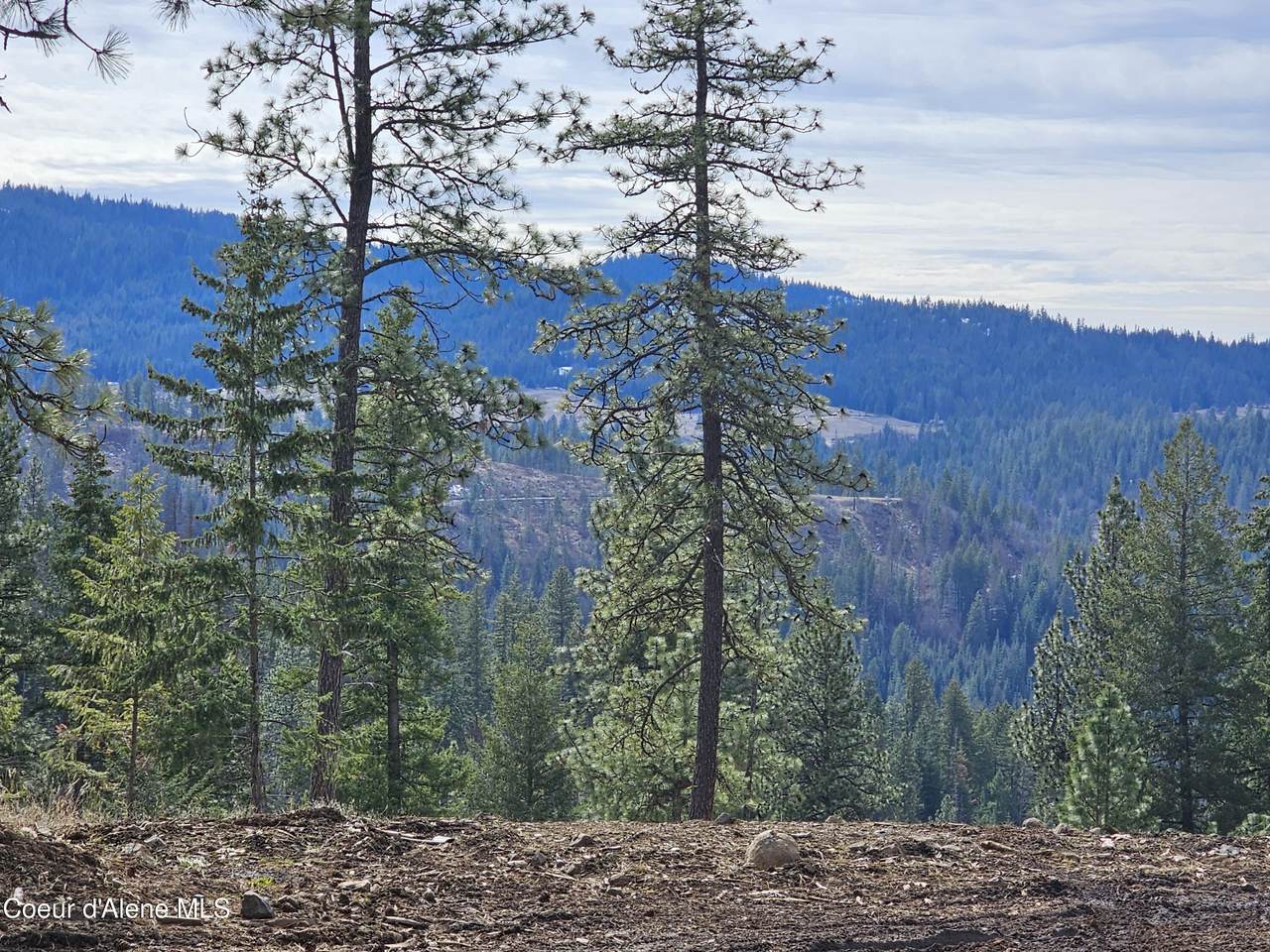 2252 Badger Rd - Photo 1