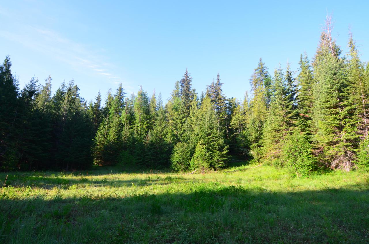 110 Saddleback Dr - Photo 1
