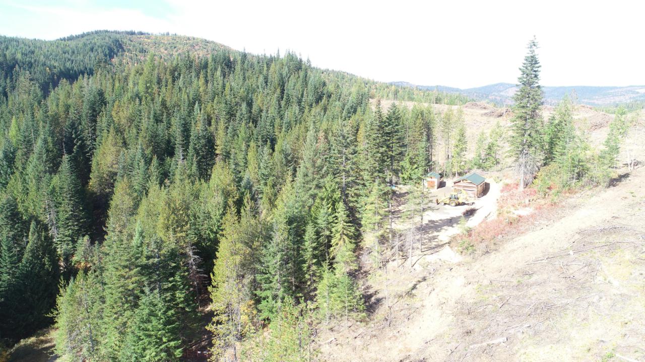 1204 Fork Alder Creek Rd - Photo 1
